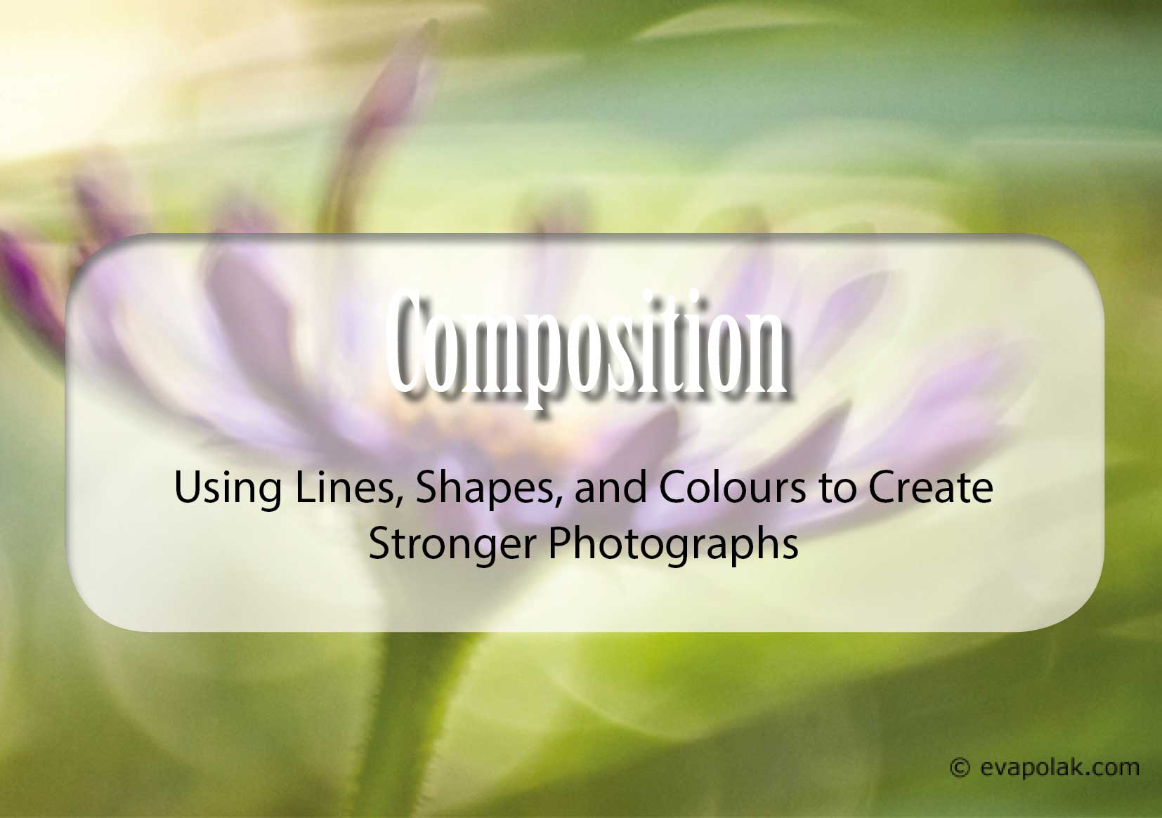 latin girl black dress dancing